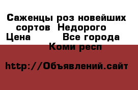 Саженцы роз новейших сортов. Недорого. › Цена ­ 350 - Все города  »    . Коми респ.